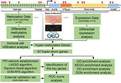 Identification of Potential Biomarkers for Psoriasis by DNA Methylation and Gene Expression Datasets